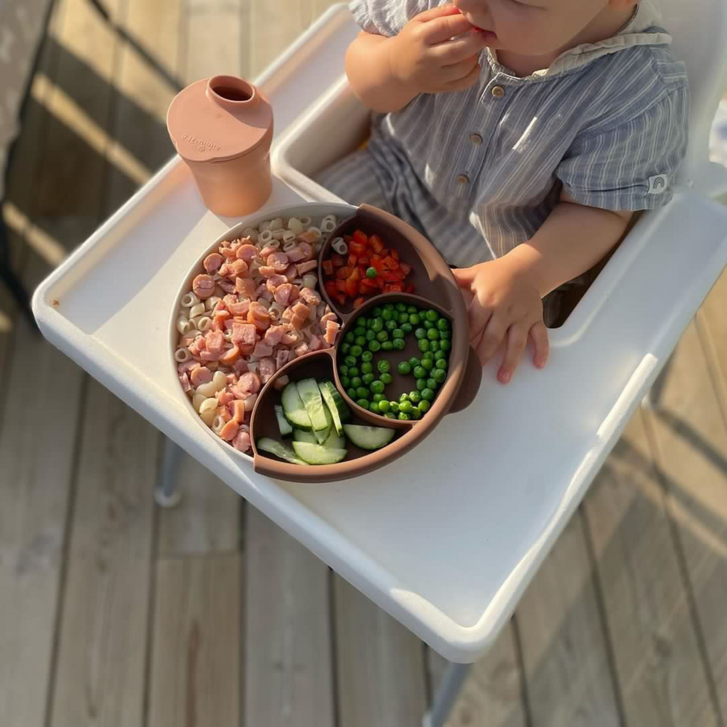 Healthy Meal Set - Menüteller (Vanilla/Chocolate)