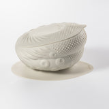 Sensory Starter Set (Oat/Oat)