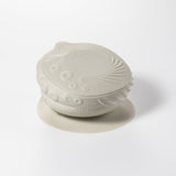 Sensory Starter Set (Oat/Oat)