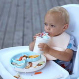 Smart Divider (get extra for free with purchase of healthy meal set)